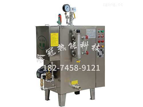 电热式蒸汽发生器